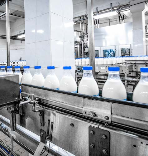 Dairy And Foodprocessing